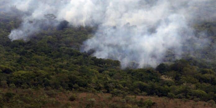 Brasil queimou mais de 185 milhões de hectares de biomas em 38 anos