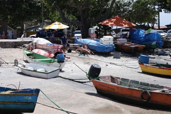 Canto do Forte, em Cabo Frio, passa por reorganização do setor pesqueiro