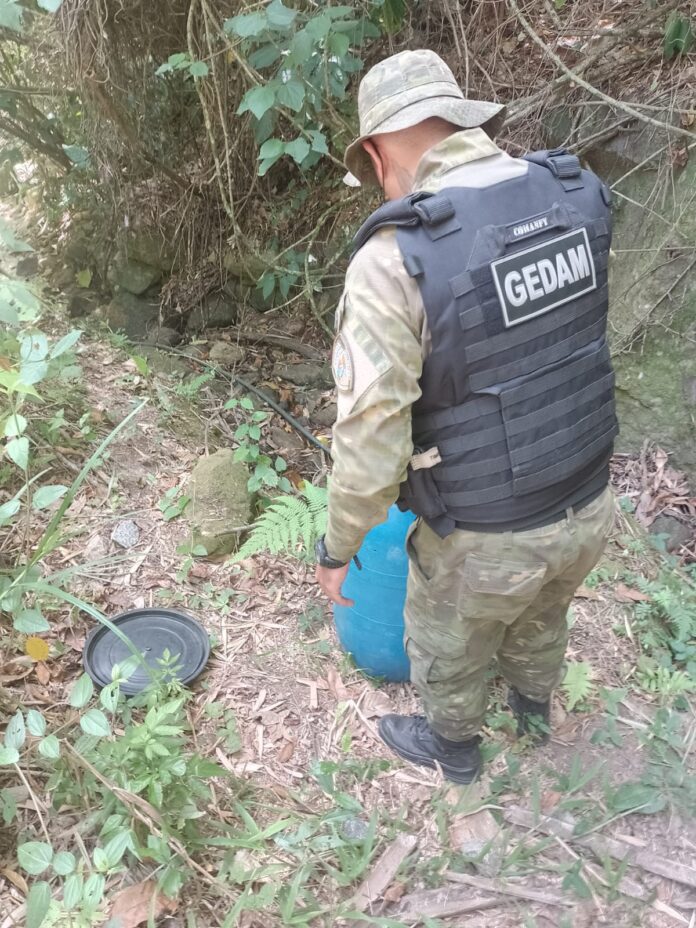 Guarda Municipal resgata jararaca em casa no Caxito