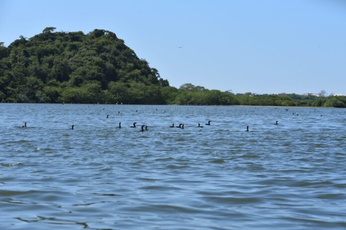 Maricá continua com tempo estável até sexta-feira (21/02)