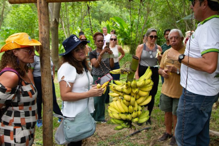 Mulheres e Ciência: uma visita inspiradora à Fazenda Joaquim Piñero